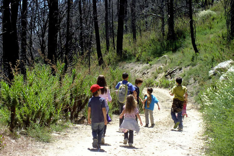 Hiking through the Angeles National Forest