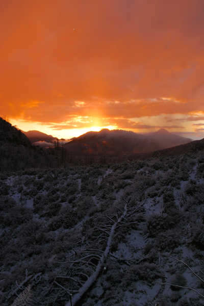 After the 2009 Station Fire in the Angeles National Forest
