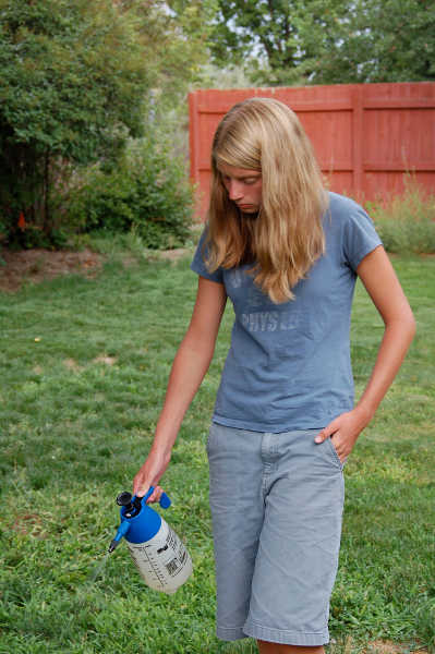 Spraying weeds