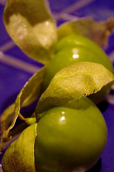 Green tomatillos with husks