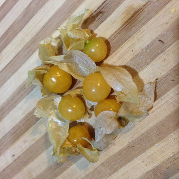 Pineapple tomatillos