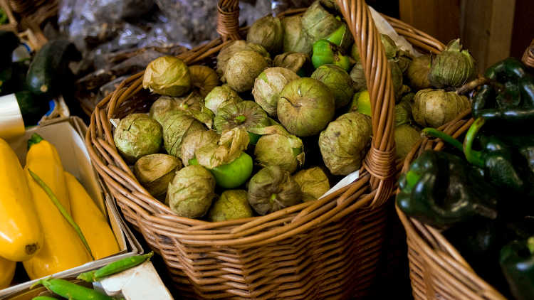 Storing tomatillos