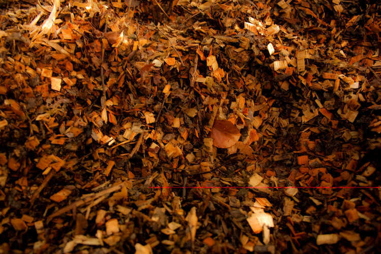 Leaf mulch
