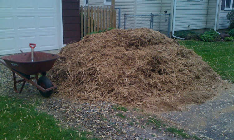 Straw mulch