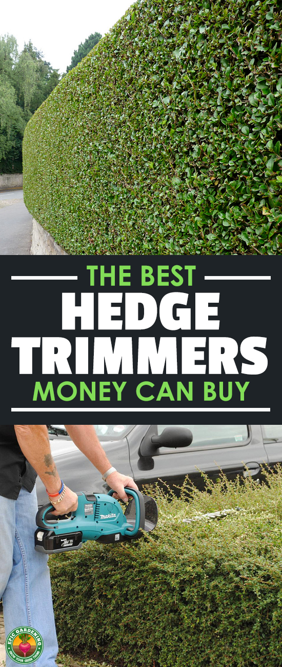 Need to get your landscaping in shape? Our buyer's guide will show you the best hedge trimmer for your job and price range.