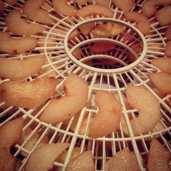 Dehydrating peaches