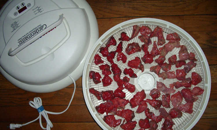 Best Food Dehydrator