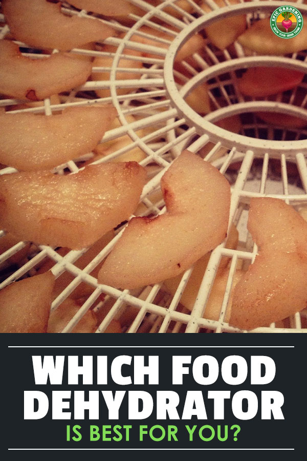 Got a gigantic harvest, and not enough time to eat it all? Skip making jam or jelly and get yourself the perfect dehydrator! Our buyer's guide shows you how.