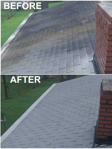 Roof before and after power washing