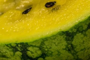 Yellow watermelon