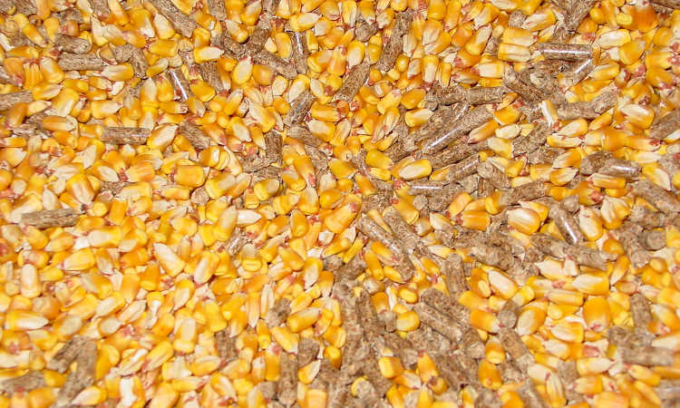 Corn and wood pellets