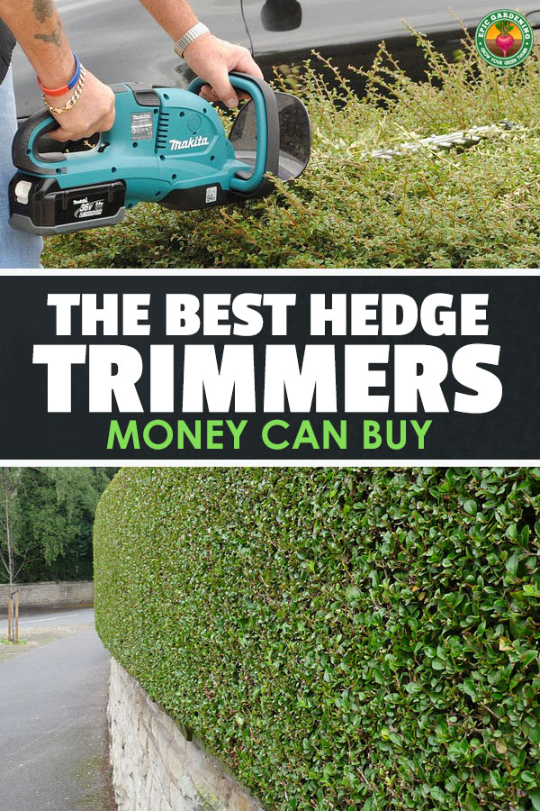 Need to get your landscaping in shape? Our buyer\'s guide will show you the best hedge trimmer for your job and price range.