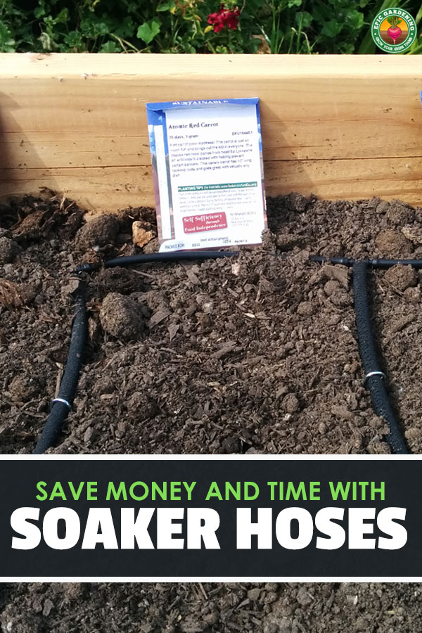 Figuring out how to use a soaker hose can be a herculean task. Our how-to guide will explain everything and make it easy and fun!