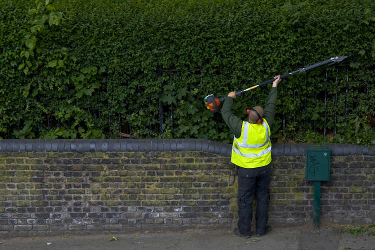 Pole hedge trimmer