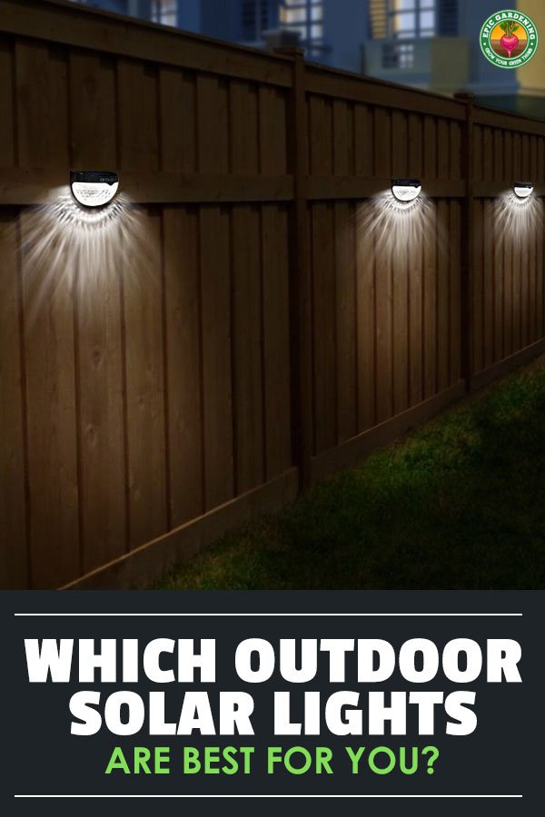 Finding the best outdoor solar lights for your yard can be a challenge. Our buyer's guide will help you find the most reliable lighting solutions!