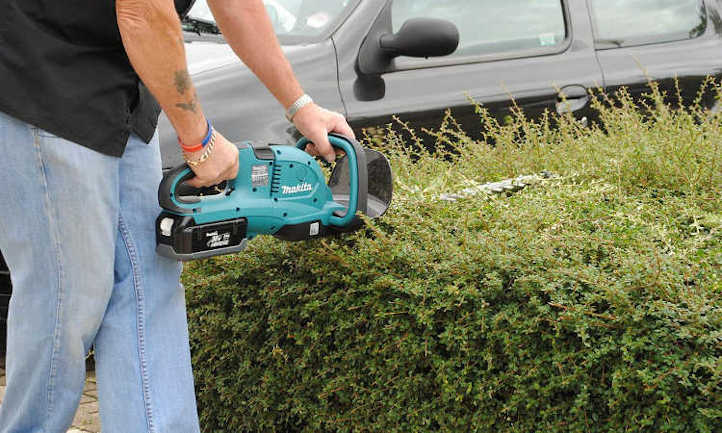 best cheap hedge trimmer