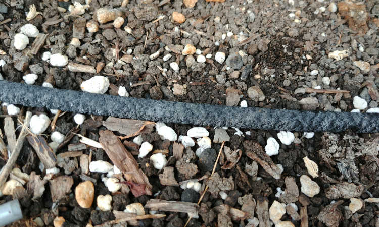 soaker hose closeup