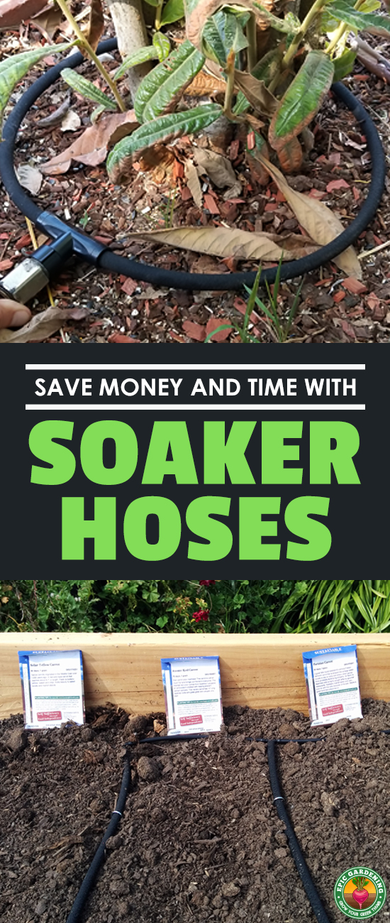 Figuring out how to use a soaker hose can be a herculean task. Our how-to guide will explain everything and make it easy and fun!