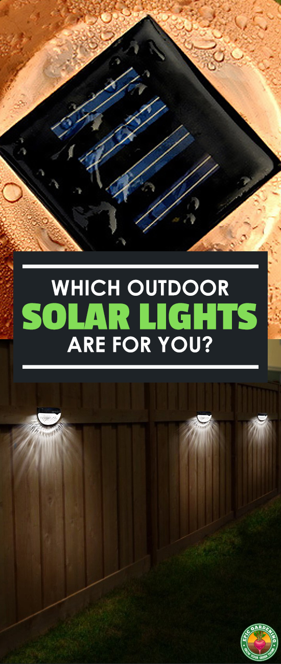 Finding the best outdoor solar lights for your yard can be a challenge. Our buyer's guide will help you find the most reliable lighting solutions!