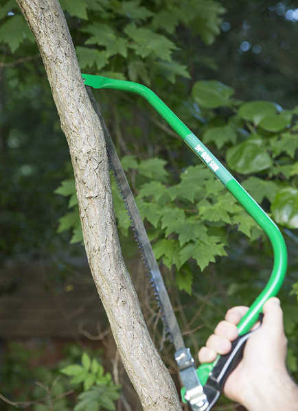 Bow saw in use