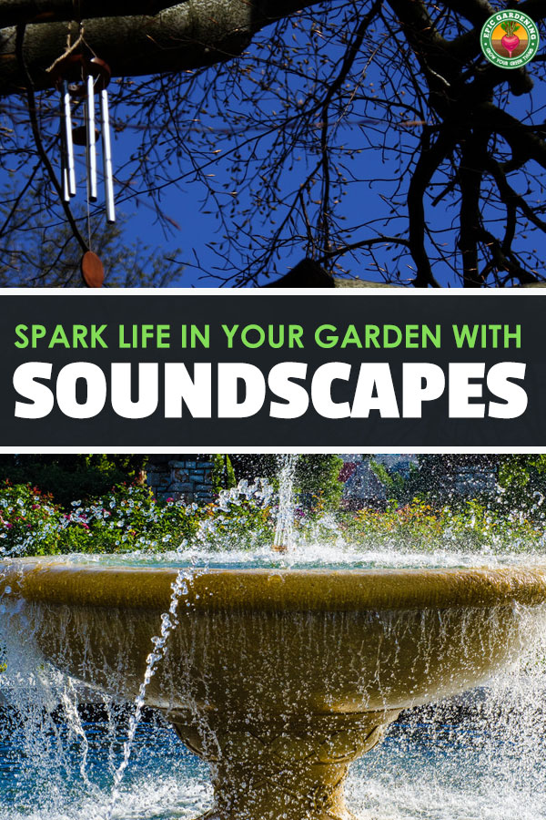 Incorporate elements of sound into your garden landscape to heighten your senses and enhance your relaxation! I'll show you how.
