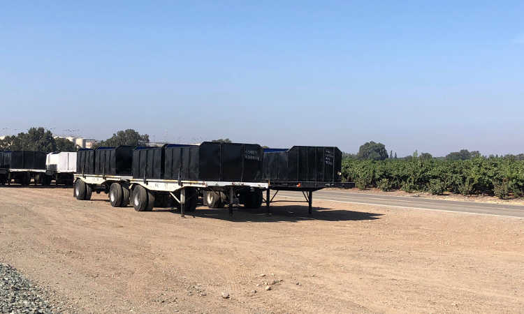 Large commercial grower preparing for harvest