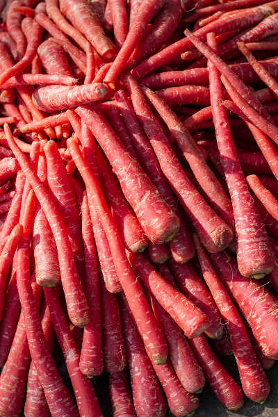 red carrots