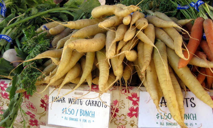 white carrots