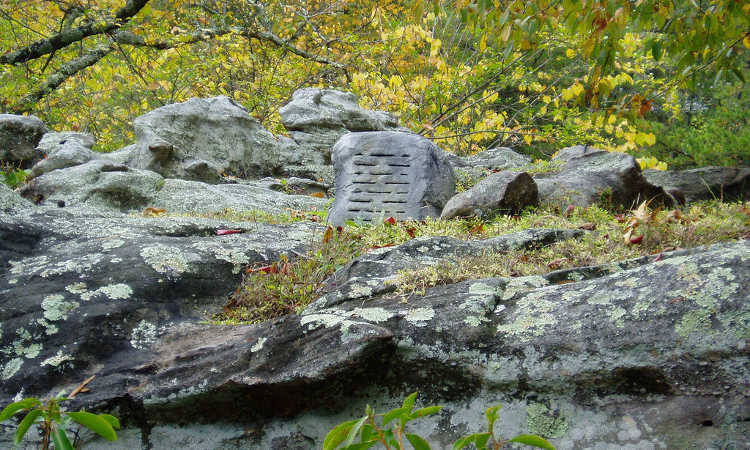 Hidden outdoor speaker