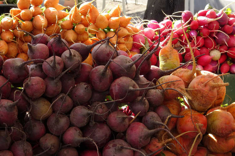 different types of beet root