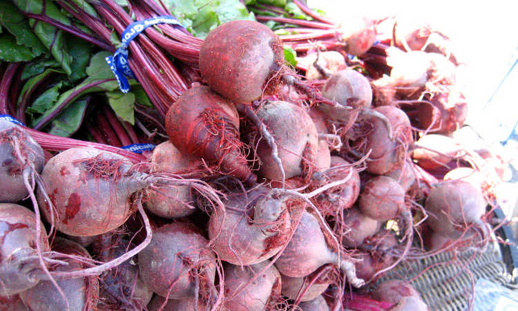 harvested beets
