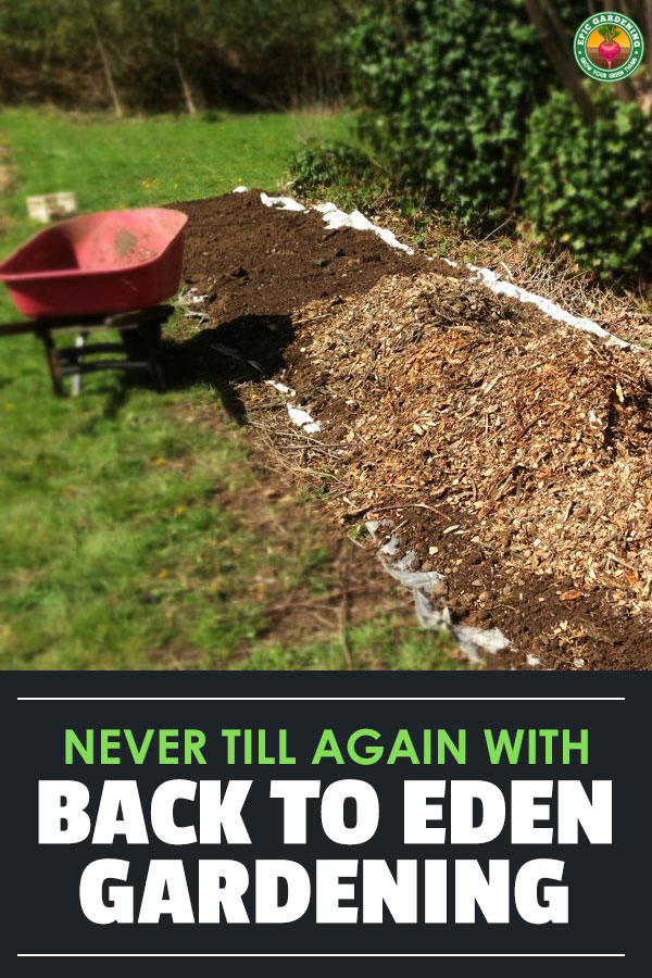 Never till your garden again using the Back to Eden gardening method. This sheet mulching technique can greatly improve your soil!