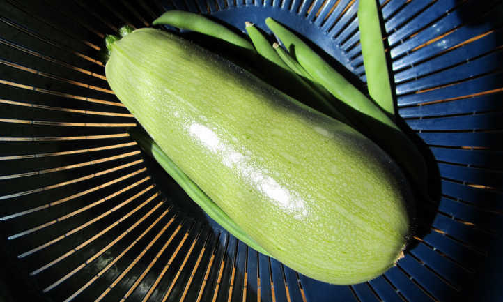 Cousa squash