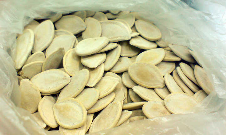Squash seeds