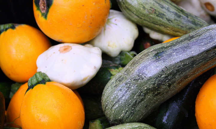 Summer squash