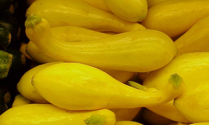 Yellow squash