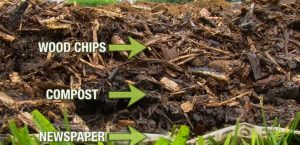 Back To Eden Gardening: Rich Soil Done Nature's Way | Epic Gardening