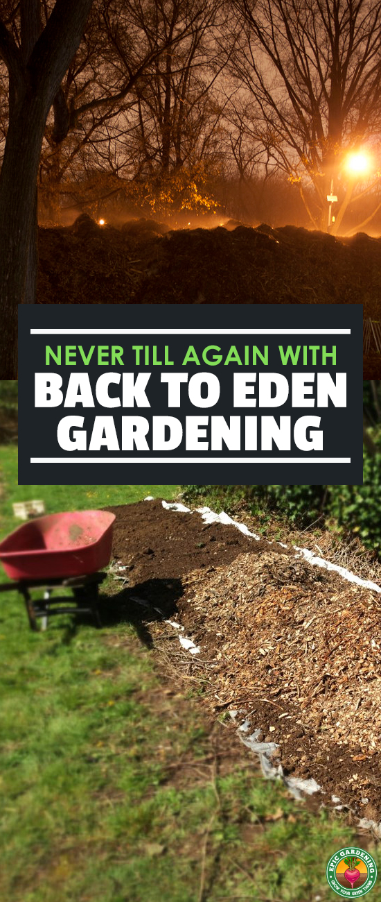 Never till your garden again using the Back to Eden gardening method. This sheet mulching technique can greatly improve your soil!