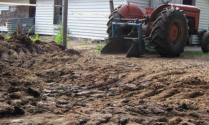 Moving horse manure with tractor