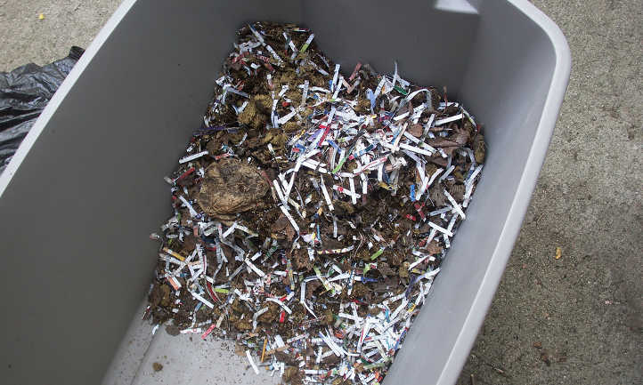 Horse manure and newspaper worm bedding