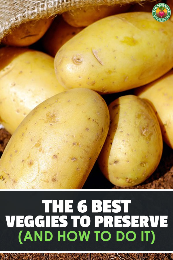 The best vegetables to preserve may not be the ones you think. These six are easy to preserve and keep well, so learn the best ways to go about it!