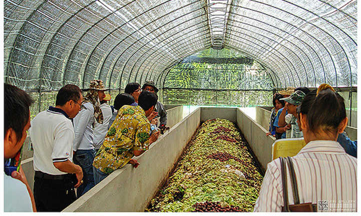 Commercial worm farm