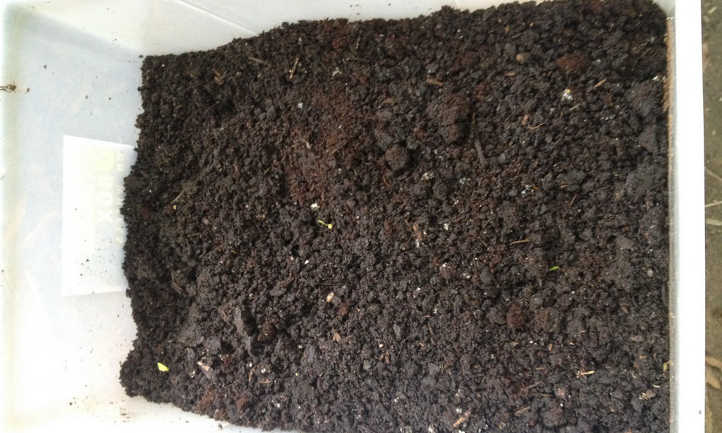 Harvested worm castings