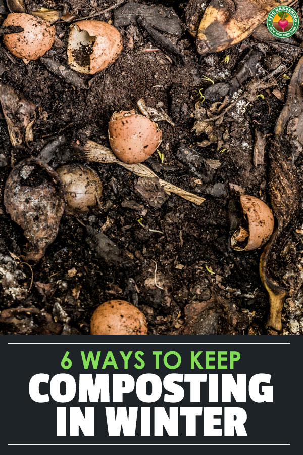 Read on for tips and hints to help you compost all year round and maximizing your free soil amendment whilst at the same time minimizing your impact on the environment.