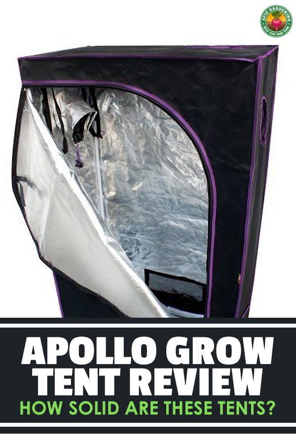 Choosing a grow tent can be overwhelming with all of the options out there. In this Apollo grow tent review I\'ll give you the low-down on this tend provider.