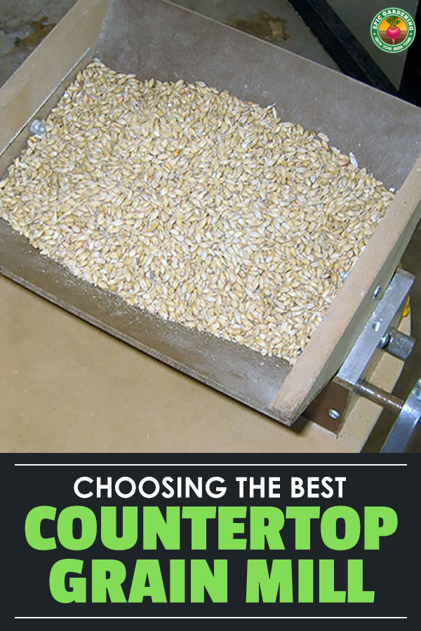 If you like the idea of being able to grind your own grains at home, then look no further than this buyer\'s guide for the best grain mills for home use.