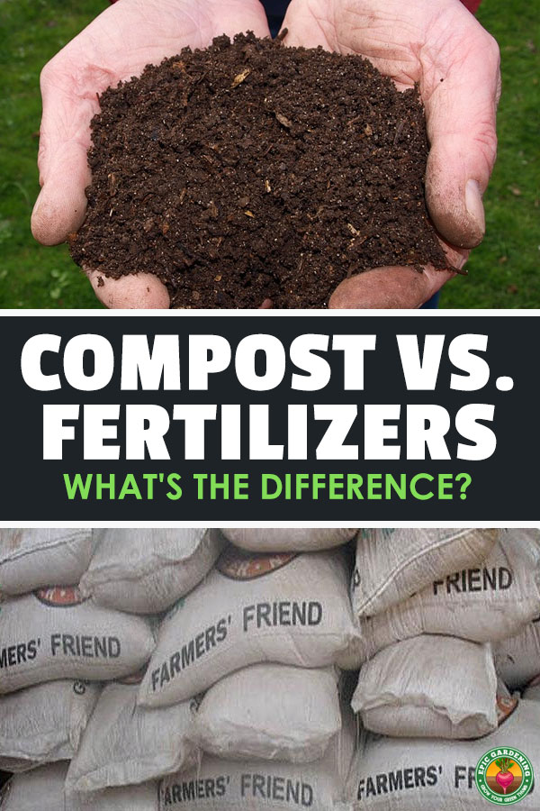 The difference between compost and fertilizer is surprising. Which one to use in your garden (if any) is important, so read on!