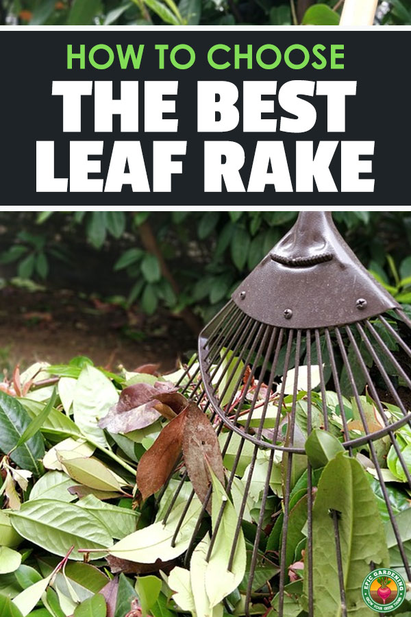 Raking leaves is a chore that doesn\'t have to be terrible, so long as you have the best leaf or garden rake. See my top rake reviews here.