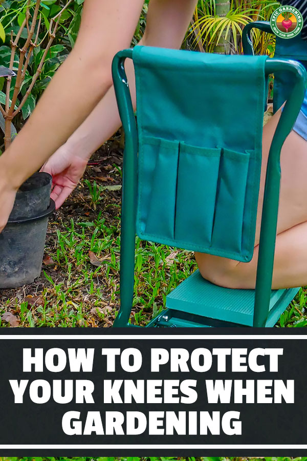 Garden kneelers, mats, and stools will save your knees a lot of pain in the long run. Find out the best garden kneelers in this in-depth review.