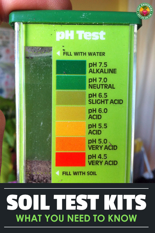 Before you plant, you need to prepare the soil. Find out the best soil test kit for your needs with our helpful buyer's guide!